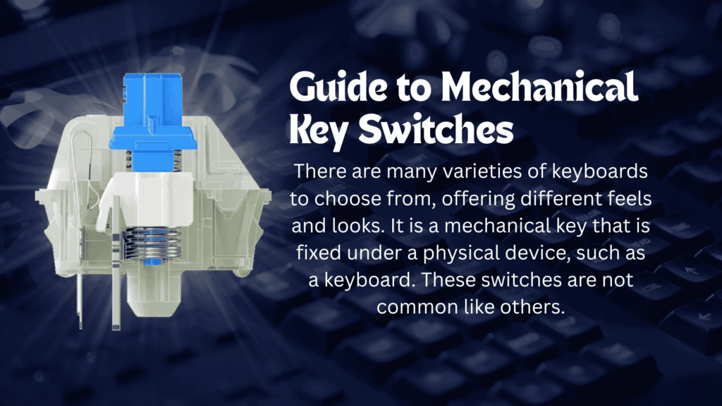 keyboard switches guide