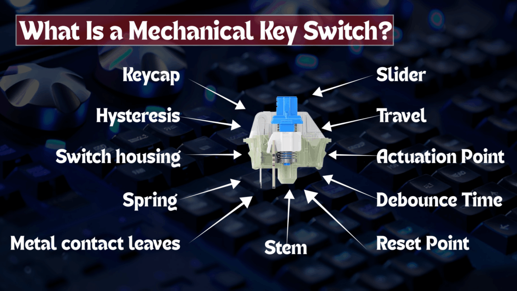 keyboard-switches-guide