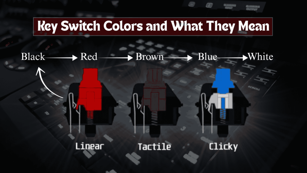 keyboard switches guide