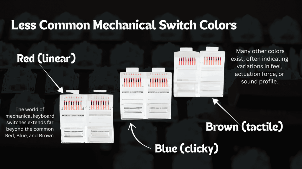 keyboard switches guide